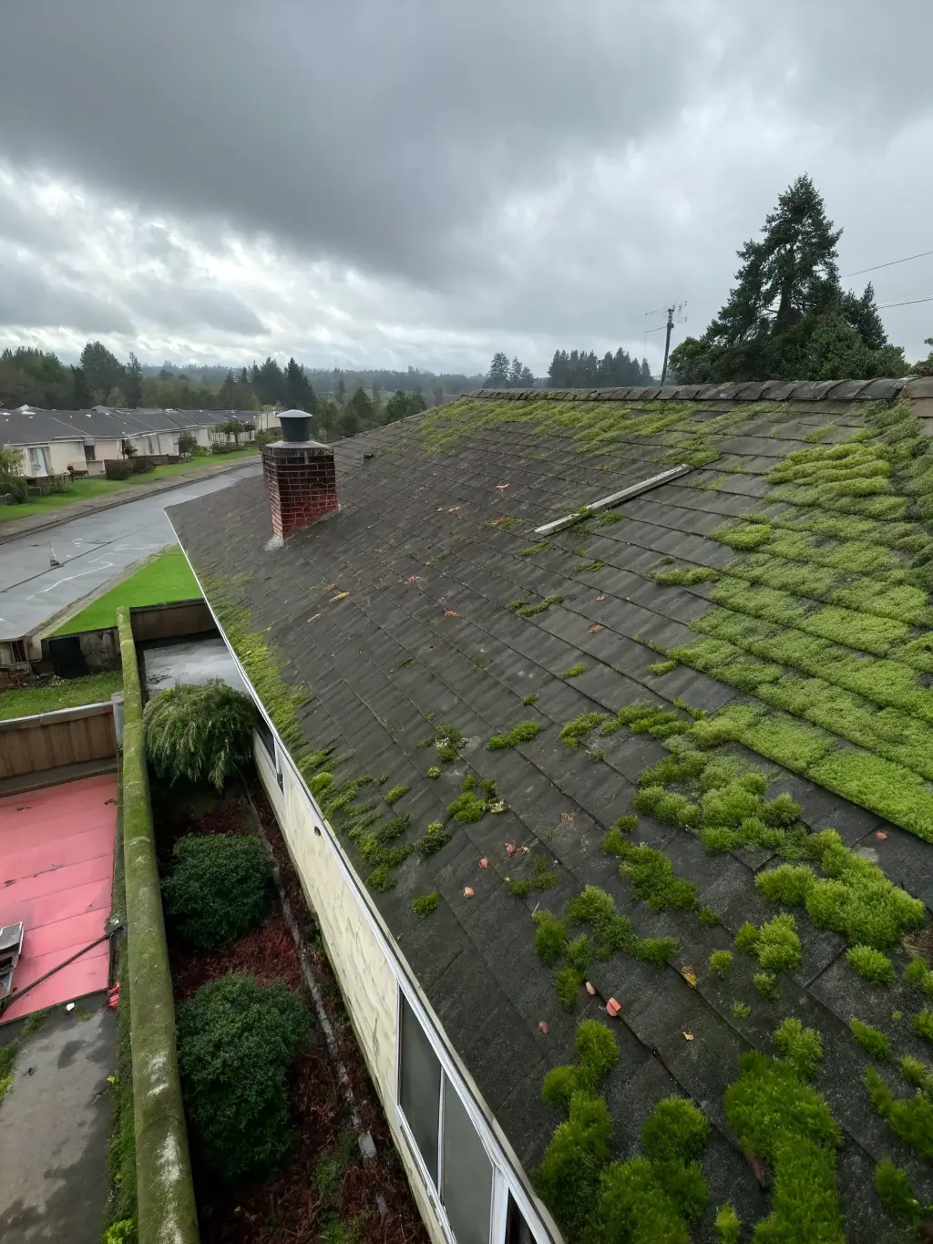 A photo of the church's roof before restoration, showing damaged tiles, leaks, and general disrepair.